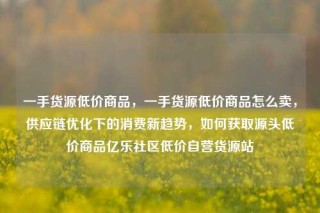 一手货源低价商品，一手货源低价商品怎么卖，供应链优化下的消费新趋势，如何获取源头低价商品亿乐社区低价自营货源站