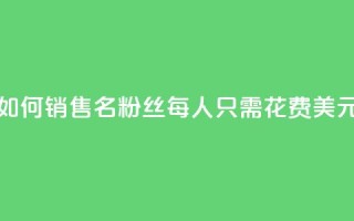 如何销售3000名粉丝，每人只需花费1美元