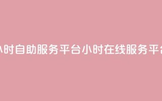 24小时自助服务平台(24小时在线服务平台)