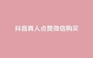 抖音真人点赞微信购买,买点赞下单 - qq空间访问人数狂刷器手机版 - 抖音怎么充值最划算