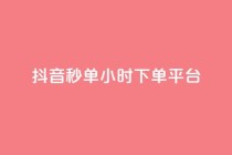 抖音秒单24小时下单平台 - 24小时极速下单平台助你轻松抖音购物！