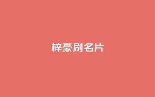 梓豪刷名片,点赞自助1元100赞 - 免费公安查询网 - 抖音怎么起号运营