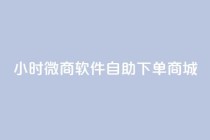24小时微商软件自助下单商城,抖音全网最低价业务 - ks业务24小时下单平台最便宜 - Qq空间业务