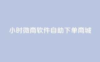 24小时微商软件自助下单商城,抖音全网最低价业务 - ks业务24小时下单平台最便宜 - Qq空间业务
