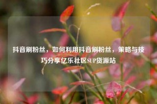 抖音刷粉丝，如何利用抖音刷粉丝，策略与技巧分享亿乐社区SUP货源站