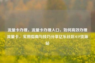 流量卡办理，流量卡办理入口，如何高效办理流量卡，实用指南与技巧分享亿乐社区SUP货源站