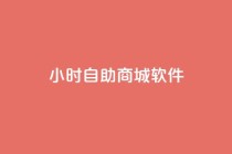 24小时自助商城软件,刷空间访客人数 - 卡盟24小时自动发卡平台 - ks超低价自助下单软件