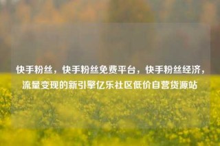 快手粉丝，快手粉丝免费平台，快手粉丝经济，流量变现的新引擎亿乐社区低价自营货源站