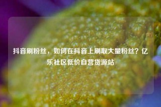 抖音刷粉丝，如何在抖音上刷取大量粉丝？亿乐社区低价自营货源站