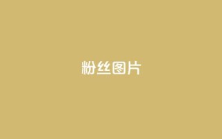 粉丝图片,快手一个作品1000赞 - qq访客每天免费获取软件 - ks直播平台正规吗