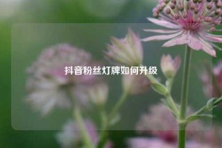 抖音粉丝灯牌如何升级