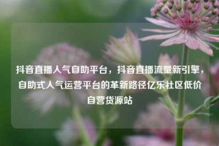 抖音直播人气自助平台，抖音直播流量新引擎，自助式人气运营平台的革新路径亿乐社区低价自营货源站