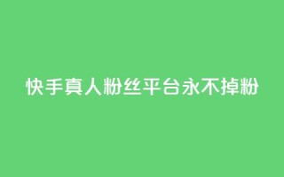 快手真人粉丝平台 永不掉粉,快手在线下单平台全网最低价 - 抖音刷1000粉入口 - 全网最便宜卡盟