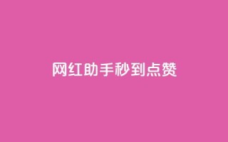 网红助手秒到点赞,免费领QQ说说赞软件 - 拼多多扫码助力软件 - 拼多多互点助力微信群