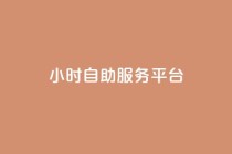 dy24小时自助服务平台,KS业务下单平台秒到 - ks免费业务平台微信支付 - ks赞自助下单平台网站便宜