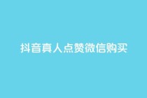抖音真人点赞微信购买,买点赞下单 - qq空间访问人数狂刷器手机版 - 抖音怎么充值最划算