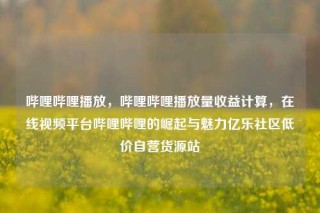 哔哩哔哩播放，哔哩哔哩播放量收益计算，在线视频平台哔哩哔哩的崛起与魅力亿乐社区低价自营货源站