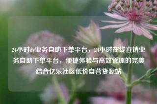 24小时dy业务自助下单平台，24小时在线直销业务自助下单平台，便捷体验与高效管理的完美结合亿乐社区低价自营货源站