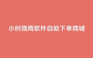 24小时微商软件自助下单商城,抖音全网最低价业务 - ks业务24小时下单平台最便宜 - Qq空间业务
