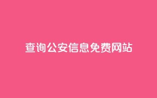 查询公安信息免费网站