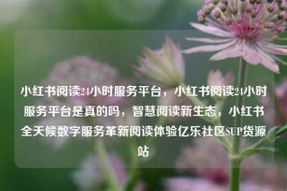 小红书阅读24小时服务平台，小红书阅读24小时服务平台是真的吗，智慧阅读新生态，小红书全天候数字服务革新阅读体验亿乐社区SUP货源站
