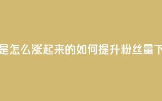 粉丝是怎么涨起来的 - 如何提升粉丝量~