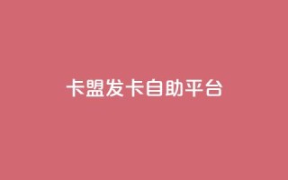 卡盟发卡自助平台 - 独家推荐：高效卡盟发卡自助平台，极致便利快捷~