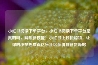小红书阅读下单平台，小红书阅读下单平台是真的吗，解锁新技能！小红书上轻松购物，让你的小梦想成真亿乐社区低价自营货源站