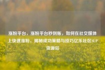 涨粉平台，涨粉平台秒到账，如何在社交媒体上快速涨粉，揭秘成功策略与技巧亿乐社区SUP货源站