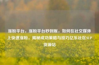 涨粉平台，涨粉平台秒到账，如何在社交媒体上快速涨粉，揭秘成功策略与技巧亿乐社区SUP货源站