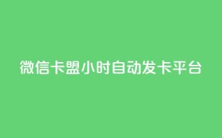 微信卡盟24小时自动发卡平台,云小店24小时下单平台 - 拼多多自动下单脚本 - 拼多多砍一刀代砍