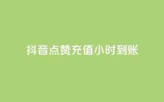 抖音点赞充值24小时到账,Ks24小时秒单业务平台 - 创梦卡盟 - 1元100个赞网站ks