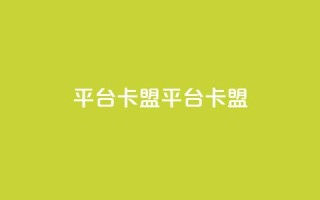 平台卡盟 平台卡盟,卡盟24小时自动发卡平台 - 九梦业务下单 - 免费qq主页名片点赞软件