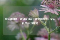 抖音刷粉丝，如何在抖音上成功刷粉丝？亿乐社区SUP货源站