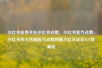小红书业务平台小红书点赞，小红书官方点赞，小红书的火热崛起与点赞的魅力亿乐社区SUP货源站