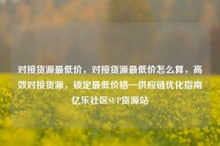 对接货源最低价，对接货源最低价怎么算，高效对接货源，锁定最低价格—供应链优化指南亿乐社区SUP货源站