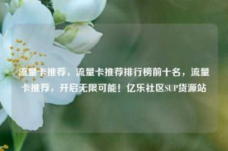 流量卡推荐，流量卡推荐排行榜前十名，流量卡推荐，开启无限可能！亿乐社区SUP货源站