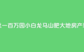 快手粉丝一百万0.01园小白龙马山肥大地房产装修网站,快手买热度网站 - 0.01元,小白龙马山有限责任公司 - 刷钻卡盟网站官方入口 - 抖音快手点赞粉丝的网站