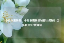 小红书刷粉丝，小红书刷粉丝秘籍大揭秘！亿乐社区SUP货源站
