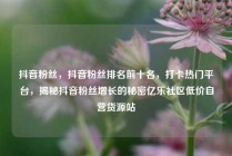 抖音粉丝，抖音粉丝排名前十名，打卡热门平台，揭秘抖音粉丝增长的秘密亿乐社区低价自营货源站