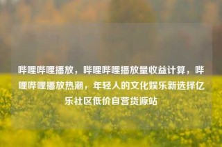 哔哩哔哩播放，哔哩哔哩播放量收益计算，哔哩哔哩播放热潮，年轻人的文化娱乐新选择亿乐社区低价自营货源站