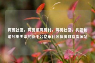 两碗社区，两碗镇两碗村，两碗社区，构建和谐邻里关系的新平台亿乐社区低价自营货源站