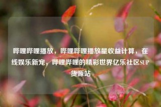 哔哩哔哩播放，哔哩哔哩播放量收益计算，在线娱乐新宠，哔哩哔哩的精彩世界亿乐社区SUP货源站