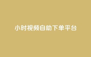24小时视频VIP自助下单平台