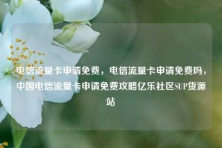 电信流量卡申请免费，电信流量卡申请免费吗，中国电信流量卡申请免费攻略亿乐社区SUP货源站