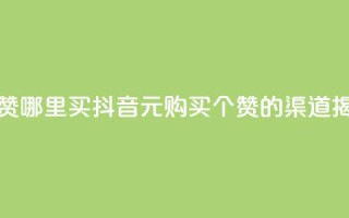 抖音1元100个赞哪里买 - 抖音1元购买100个赞的渠道揭秘!