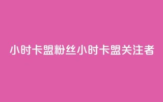 24小时卡盟粉丝 → 24小时卡盟关注者