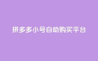 拼多多小号自助购买平台,qq24小时全自助下单网站 - qq会员官网个人中心 - 抖音1比10币充值链接微信怎么弄