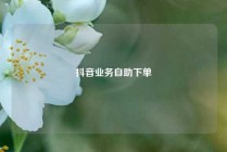 抖音业务自助下单