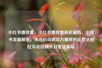 小红书播放量，小红书播放量有收益吗，小红书流量解密，从冷启动到百万播放的运营法则亿乐社区低价自营货源站